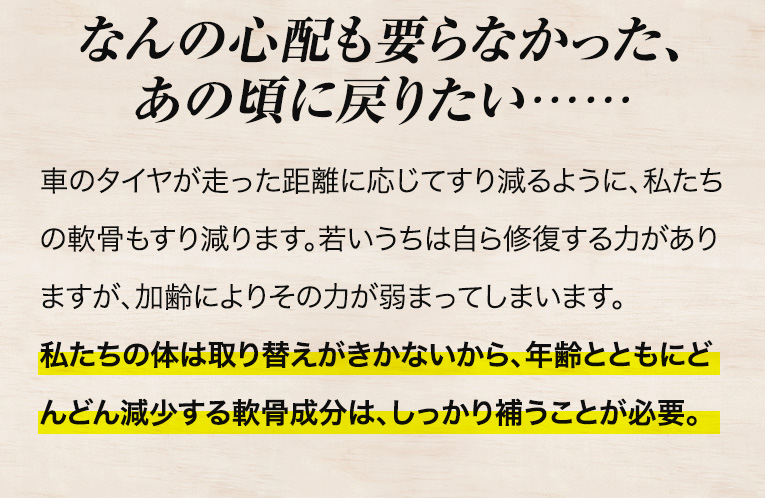 新・サメの軟骨エクセレント