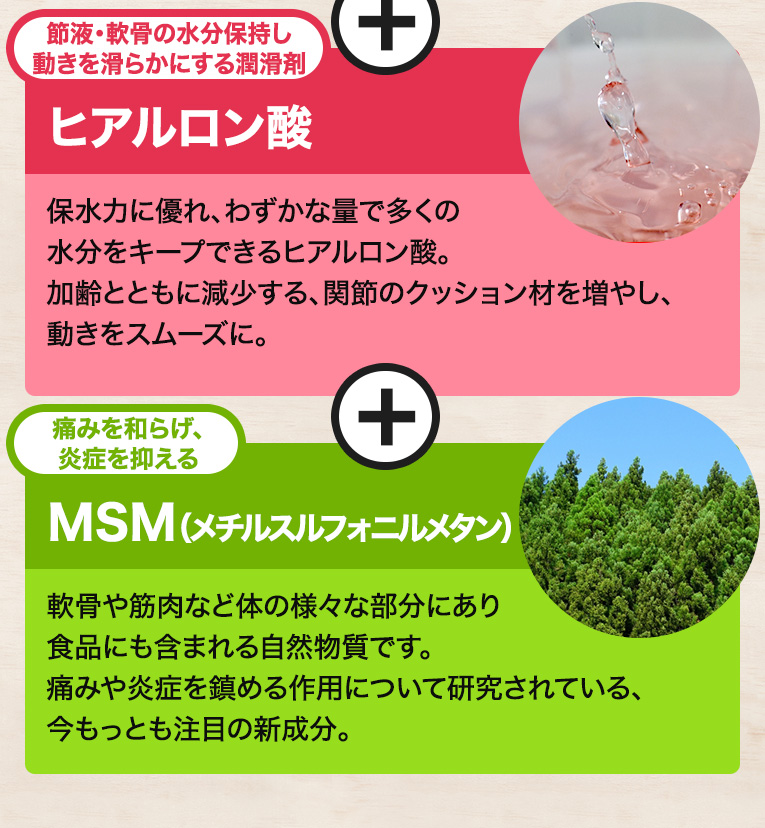 新・サメの軟骨エクセレント